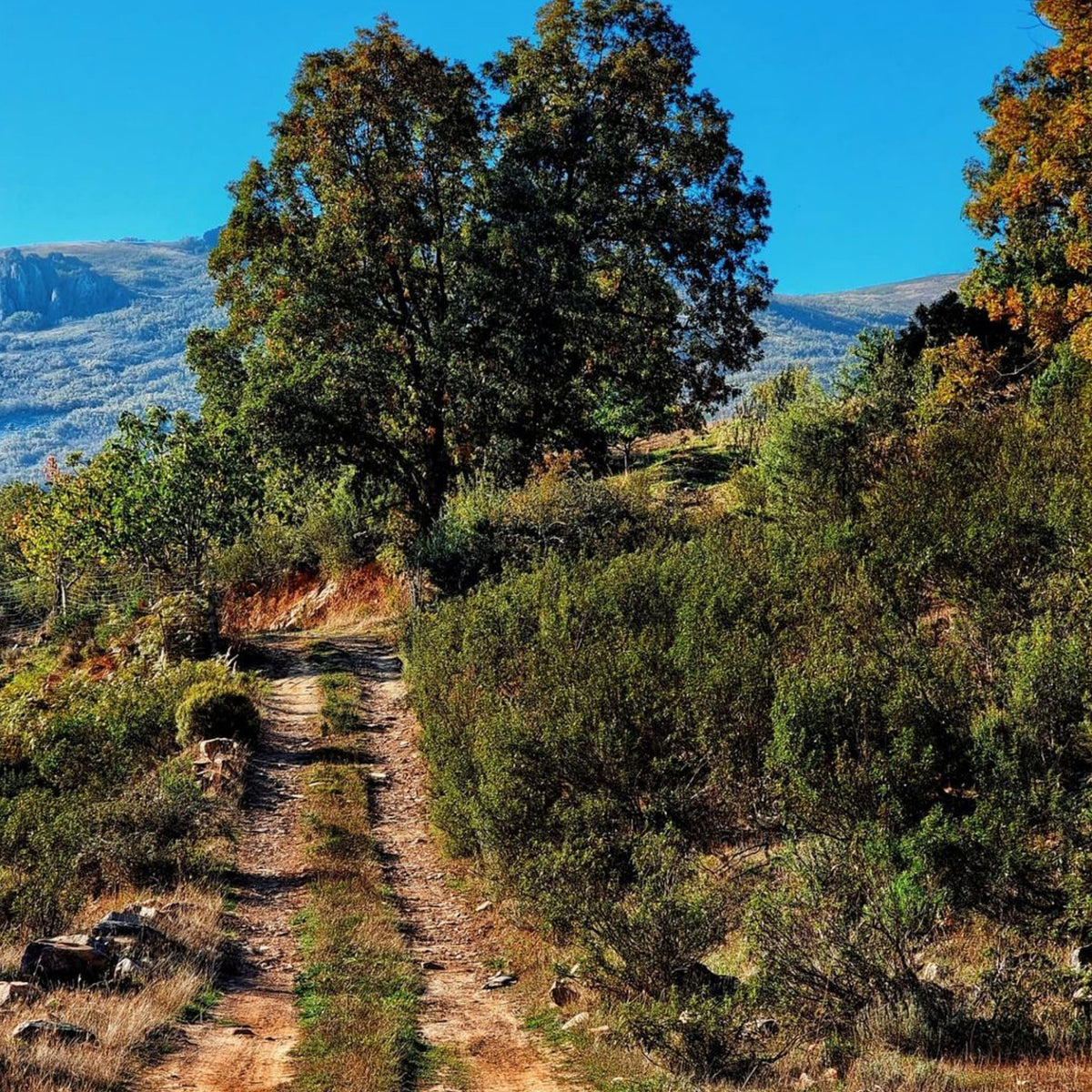 Rutas de Senderismo Toledo