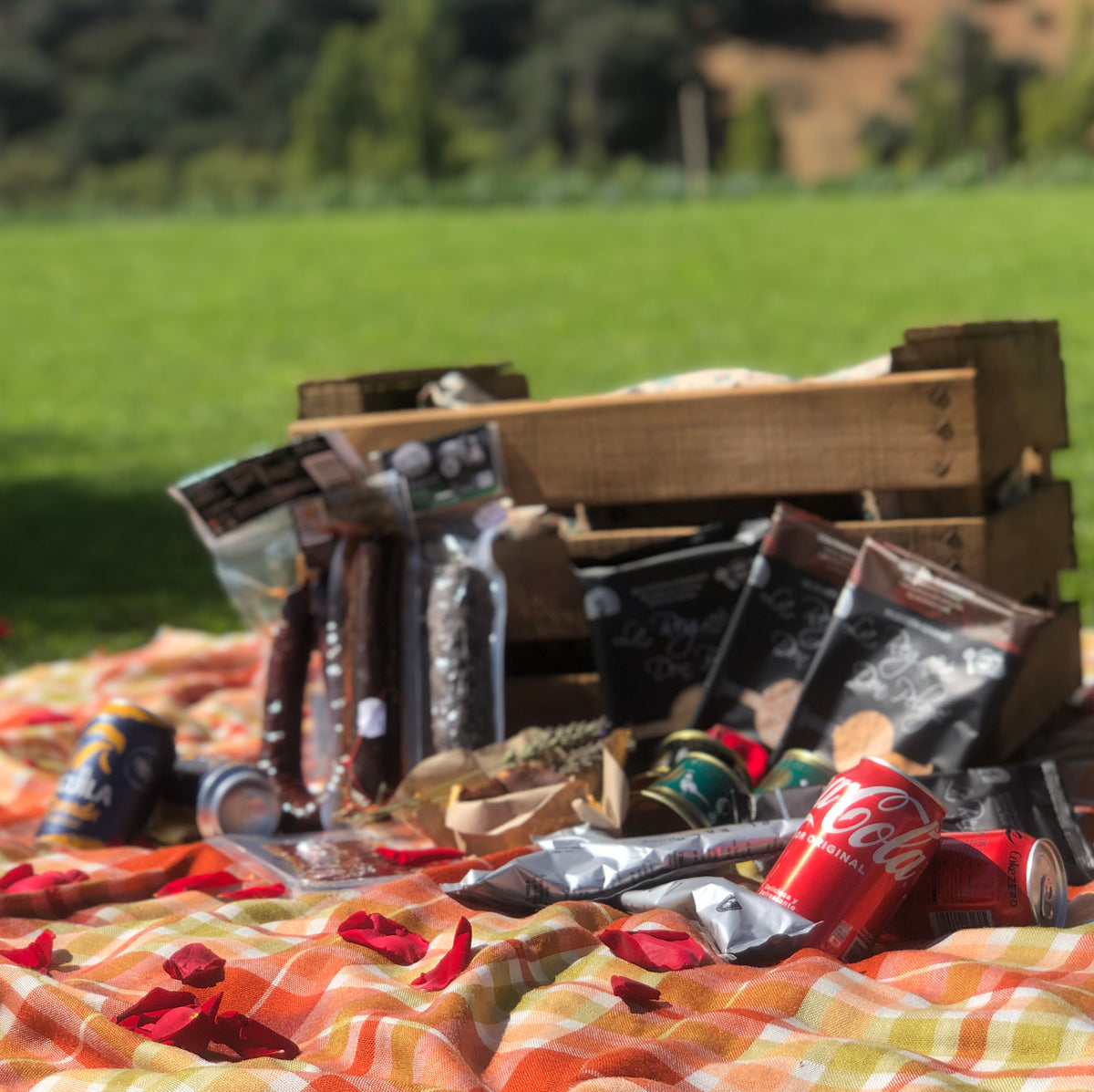 Caja Picnic Gourmet Selección Cabañeros